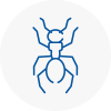 Ant Removals In Ringwood