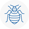 Bed Bug Extermination In Ringwood