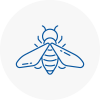 Bee Nest Removal Ringwood