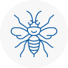 Ringwood Hornet Nest Removals