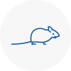 Mice Exterminators In Ringwood