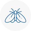 Moth Control Specialists In Ringwood