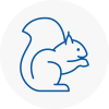 Ringwood Rodent Removals